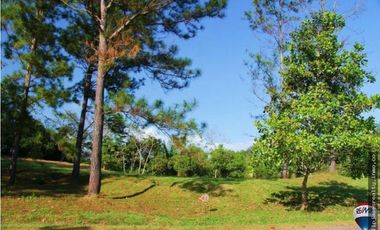 Venta: Lote en Brisas de los Lagos, La Chorrera