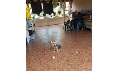 SE ALQUILA CASA EN BRISAS DEL GOLF