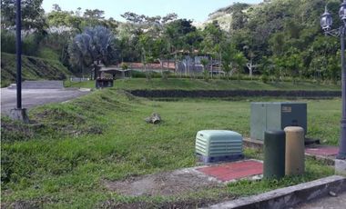 VENDO TERRENO EN MILLA 8