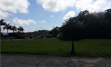 VENDO TERRENO EN MILLA 8