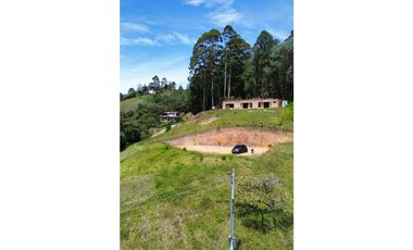 SE VENDEN LOTES EN LA CEJA INDEPENDIENTES EXCELENTE VISTA