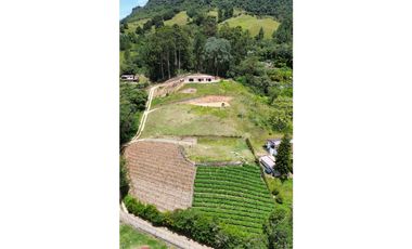 SE VENDEN LOTES EN LA CEJA INDEPENDIENTES EXCELENTE VISTA