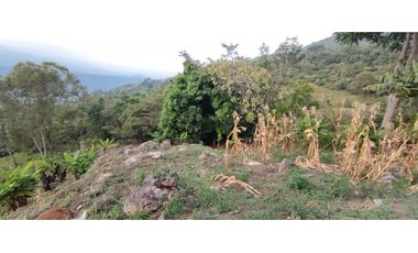 VENDO TERRENO DE 24.4 FANEGADAS EN TIBACUY CUNDINAMARCA