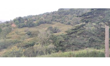 VENDO TERRENO DE 24.4 FANEGADAS EN TIBACUY CUNDINAMARCA