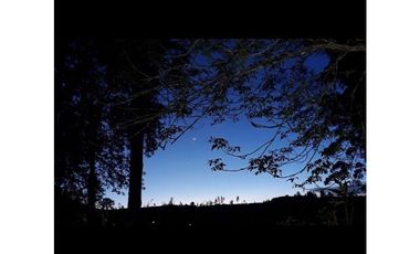 Vendo Hermoso lote en El Retiro vía Pantanillo sector Lejos del Nido