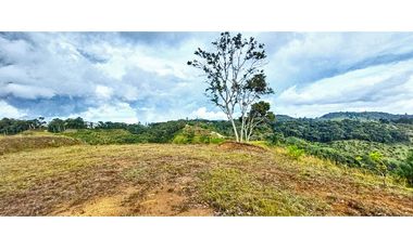 Vendo Hermoso lote en El Retiro vía Pantanillo sector Lejos del Nido