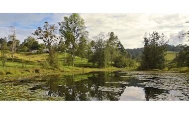 Vendo Hermoso lote en El Retiro vía Pantanillo sector Lejos del Nido