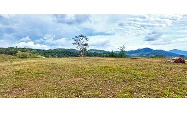 Vendo Hermoso lote en El Retiro vía Pantanillo sector Lejos del Nido