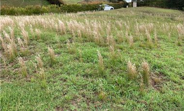 Venta de Lote en Parcelación La Ceja San Antonio Acc Pavimentados