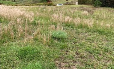 Venta de Lote en Parcelación La Ceja San Antonio Acc Pavimentados