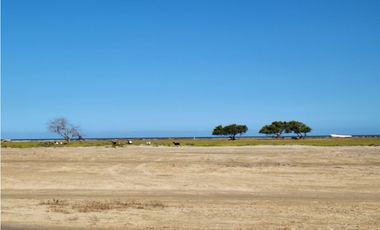 Venta de lote frente al mar en Manaure Guajira