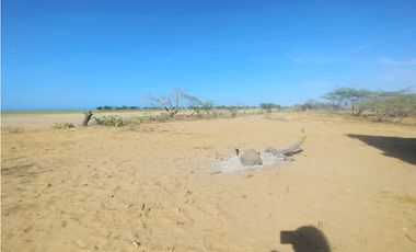 Venta de lote frente al mar en Manaure Guajira