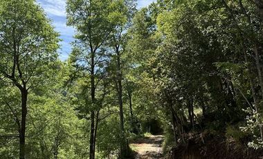 Sitio en Venta en Sitios Camino Termas de Chillan Km 48 Interior