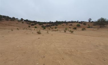 Terreno Construccion en Venta en Venta terreno 14 Hás Villaseca sin Comisión Corretaje