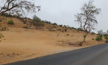 Terreno Construccion en Venta en Venta terreno 14 Hás Villaseca sin Comisión Corretaje