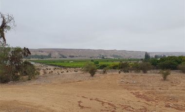 Terreno Construccion en Venta en Venta terreno 14 Hás Villaseca sin Comisión Corretaje