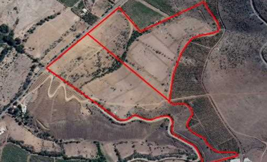 Terreno Construccion en Venta en Venta terreno 14 Hás Villaseca sin Comisión Corretaje