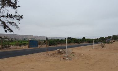 Terreno Construccion en Venta en Venta terreno 14 Hás Villaseca sin Comisión Corretaje