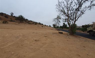 Terreno Construccion en Venta en Venta terreno 14 Hás Villaseca sin Comisión Corretaje