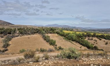 Terreno Construccion en Venta en Venta terreno 14 Hás Villaseca sin Comisión Corretaje