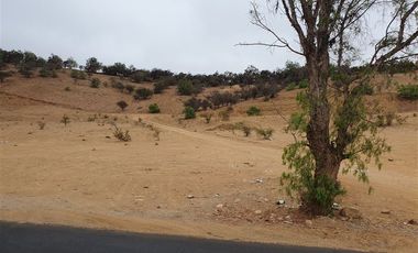 Terreno Construccion en Venta en Venta terreno 14 Hás Villaseca sin Comisión Corretaje