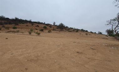 Terreno Construccion en Venta en Venta terreno 14 Hás Villaseca sin Comisión Corretaje