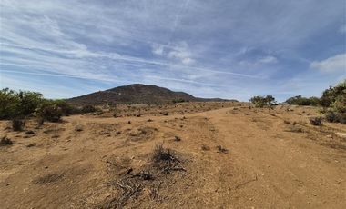 Terreno Construccion en Venta en Venta terreno 14 Hás Villaseca sin Comisión Corretaje