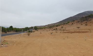 Terreno Construccion en Venta en Venta terreno 14 Hás Villaseca sin Comisión Corretaje