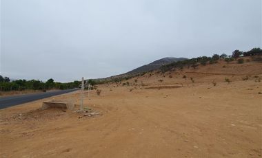 Terreno Construccion en Venta en Venta terreno 14 Hás Villaseca sin Comisión Corretaje