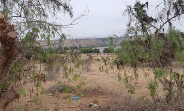 Terreno Construccion en Venta en Venta terreno 14 Hás Villaseca sin Comisión Corretaje