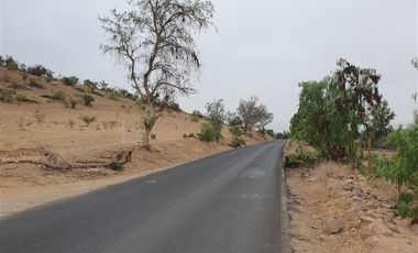 Terreno Construccion en Venta en Venta terreno 14 Hás Villaseca sin Comisión Corretaje