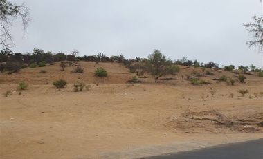 Terreno Construccion en Venta en Venta terreno 14 Hás Villaseca sin Comisión Corretaje