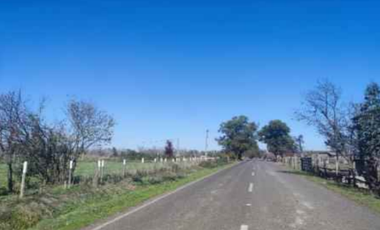 Agrícola en Venta en Propiedad agrícola de 165.000 mt. San Nicolás Bio Bio.