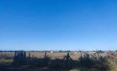 Agrícola en Venta en Propiedad agrícola de 165.000 mt. San Nicolás Bio Bio.