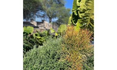 VENTA DE TERRENOS RESIDENCIALES EN AMECA JALISCO