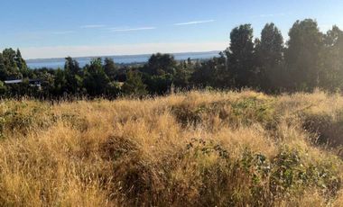 Parcela en venta en RÍO BUENO