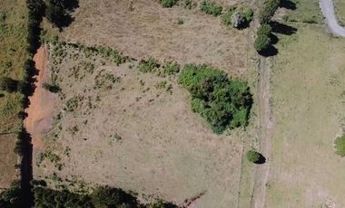 Parcela en venta en RÍO BUENO