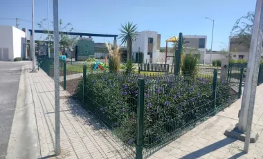 Casa en renta en Los Viñedos, Torreón, Coahuila de Zaragoza