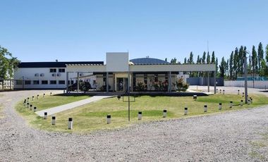 Galpón - Neuquen