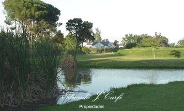 Casa - Los Pinguinos