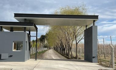 Lote en venta barrio Las Patricias, General Roca, Río Negro