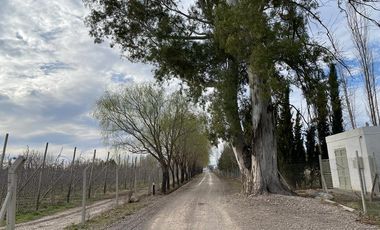 Lote en venta barrio Las Patricias, General Roca, Río Negro