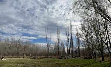 Lote en venta barrio Las Patricias, General Roca, Río Negro