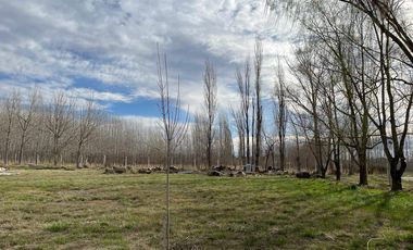 Lote en venta barrio Las Patricias, General Roca, Río Negro