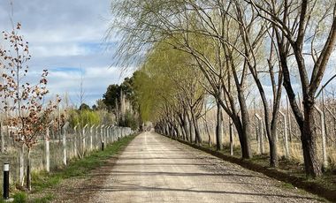 Lote en venta barrio Las Patricias, General Roca, Río Negro