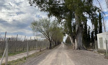 Lote en venta barrio Las Patricias, General Roca, Río Negro