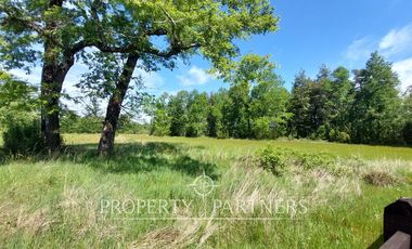 Lindas parcelas en privilegiado entorno