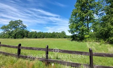 Lindas parcelas en privilegiado entorno