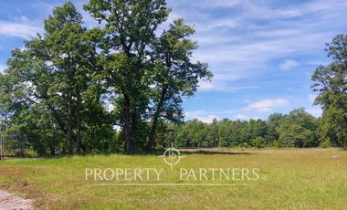 Lindas parcelas en privilegiado entorno