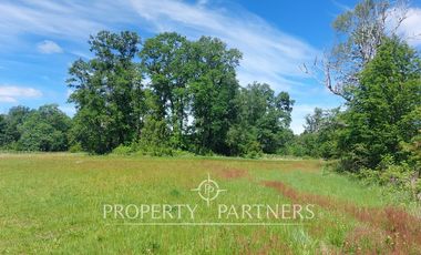 Lindas parcelas en privilegiado entorno